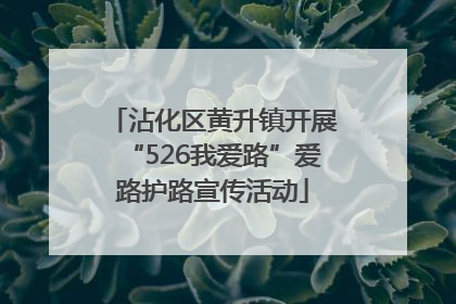 沾化区黄升镇开展“526我爱路”爱路护路宣传活动