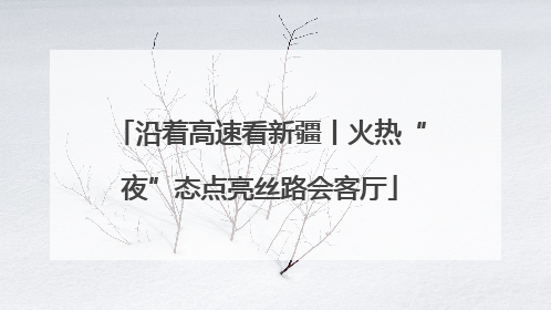 沿着高速看新疆丨火热“夜”态点亮丝路会客厅