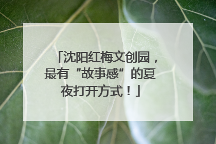 沈阳红梅文创园，最有“故事感”的夏夜打开方式！