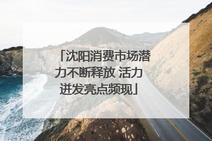 沈阳消费市场潜力不断释放 活力迸发亮点频现