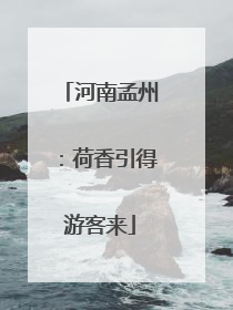 河南孟州：荷香引得游客来