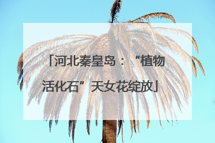 河北秦皇岛：“植物活化石”天女花绽放