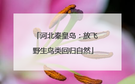 河北秦皇岛：放飞野生鸟类回归自然