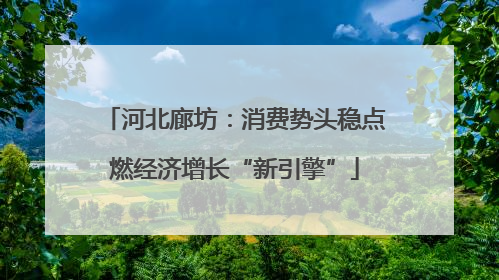 河北廊坊：消费势头稳点燃经济增长“新引擎”