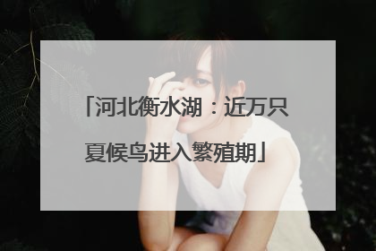 河北衡水湖：近万只夏候鸟进入繁殖期