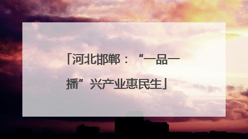 河北邯郸：“一品一播”兴产业惠民生