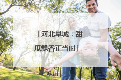 河北阜城：甜瓜飘香正当时