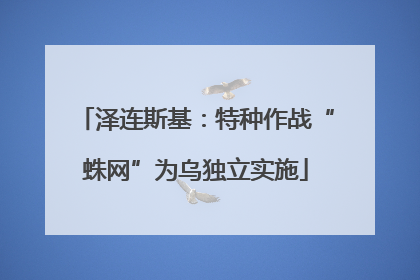 泽连斯基：特种作战“蛛网”为乌独立实施