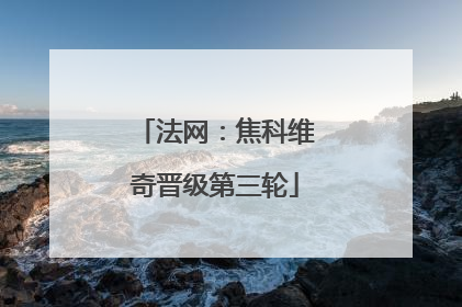 法网：焦科维奇晋级第三轮