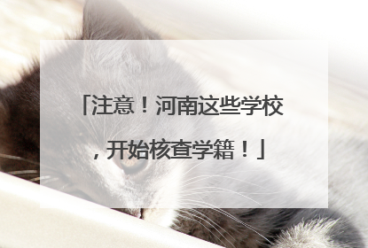注意！河南这些学校，开始核查学籍！
