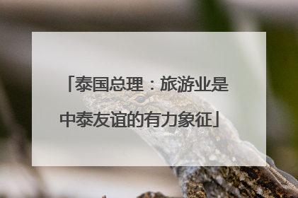 泰国总理：旅游业是中泰友谊的有力象征