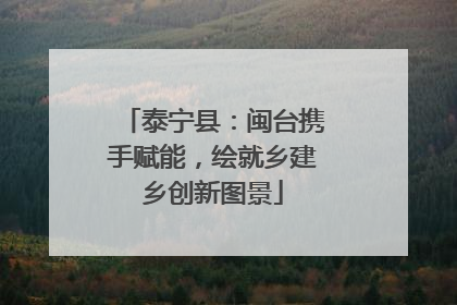 泰宁县：闽台携手赋能，绘就乡建乡创新图景