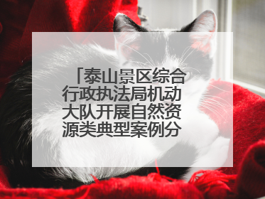 泰山景区综合行政执法局机动大队开展自然资源类典型案例分析交流活动