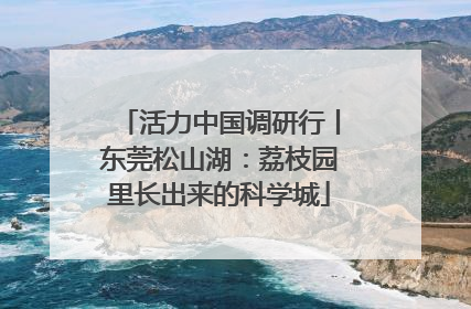 活力中国调研行丨东莞松山湖：荔枝园里长出来的科学城
