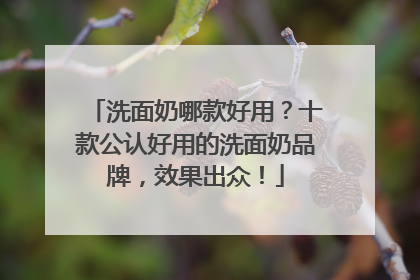 洗面奶哪款好用？十款公认好用的洗面奶品牌，效果出众！
