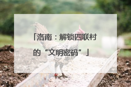 洛南：解锁四联村的“文明密码”
