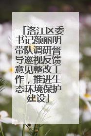 洛江区委书记颜丽明带队调研督导巡视反馈意见整改工作，推进生态环境保护建设