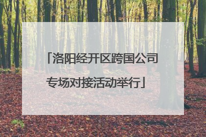 洛阳经开区跨国公司专场对接活动举行