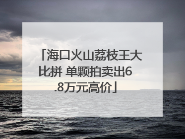 海口火山荔枝王大比拼 单颗拍卖出6.8万元高价