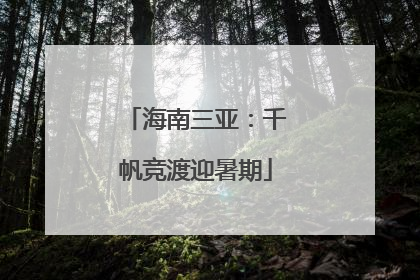 海南三亚：千帆竞渡迎暑期