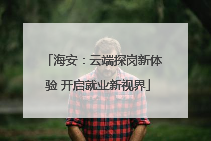 海安：云端探岗新体验 开启就业新视界