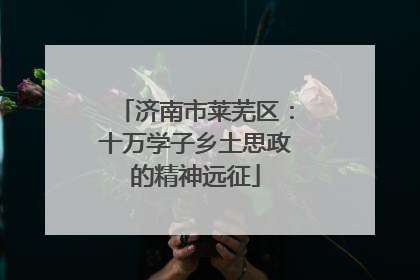 济南市莱芜区：十万学子乡土思政的精神远征