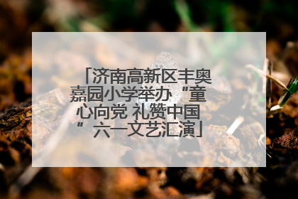 济南高新区丰奥嘉园小学举办“童心向党 礼赞中国”六一文艺汇演
