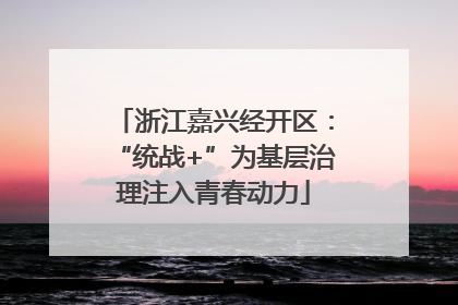 浙江嘉兴经开区：“统战+”为基层治理注入青春动力
