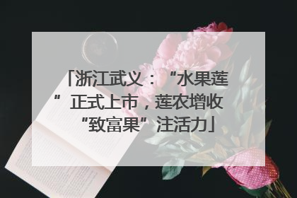 浙江武义：“水果莲”正式上市，莲农增收“致富果”注活力