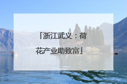 浙江武义：荷花产业助致富