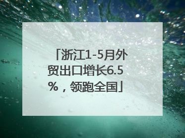 浙江1-5月外贸出口增长6.5%，领跑全国