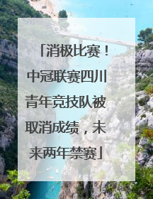 消极比赛！中冠联赛四川青年竞技队被取消成绩，未来两年禁赛