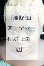 淮北烈山区：“产业村长”上岗记