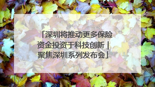 深圳将推动更多保险资金投资于科技创新｜聚焦深圳系列发布会