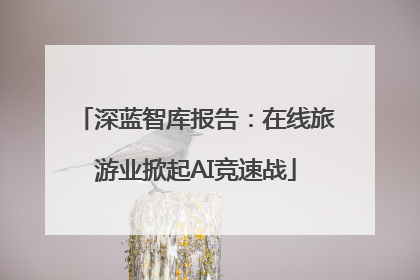 深蓝智库报告：在线旅游业掀起AI竞速战