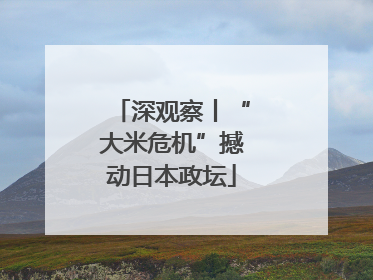 深观察丨“大米危机”撼动日本政坛