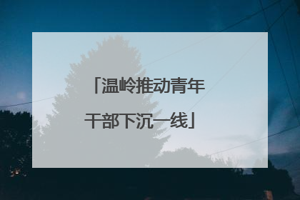 温岭推动青年干部下沉一线