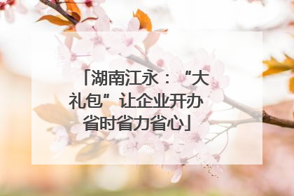 湖南江永：“大礼包”让企业开办省时省力省心