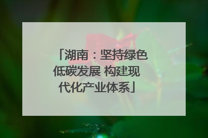 湖南：坚持绿色低碳发展 构建现代化产业体系