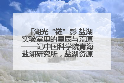 湖光“链”影 盐湖实验室里的星辰与荒原——记中国科学院青海盐湖研究所，盐湖资源化学实验室党总支书记、副主任刘忠