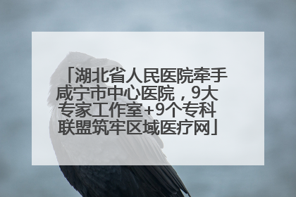 湖北省人民医院牵手咸宁市中心医院，9大专家工作室+9个专科联盟筑牢区域医疗网