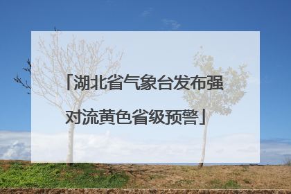湖北省气象台发布强对流黄色省级预警