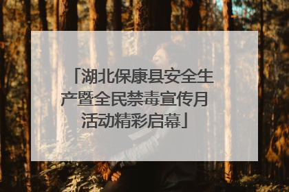 湖北保康县安全生产暨全民禁毒宣传月活动精彩启幕