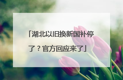 湖北以旧换新国补停了？官方回应来了