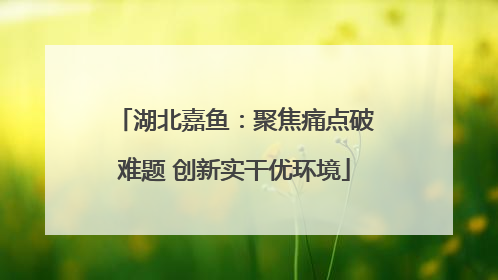 湖北嘉鱼：聚焦痛点破难题 创新实干优环境