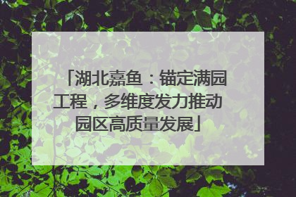 湖北嘉鱼：锚定满园工程，多维度发力推动园区高质量发展