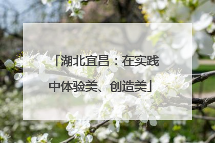 湖北宜昌：在实践中体验美、创造美