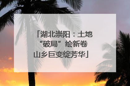 湖北崇阳：土地“破局”绘新卷 山乡巨变绽芳华