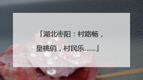 湖北枣阳：村路畅，皇桃俏，村民乐……