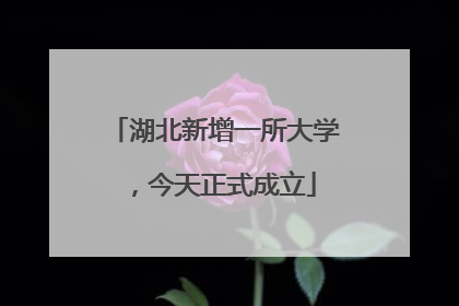 湖北新增一所大学，今天正式成立